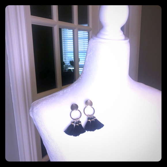 Tassel Earnings - Picture 1 of 3